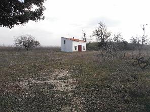 Jardín